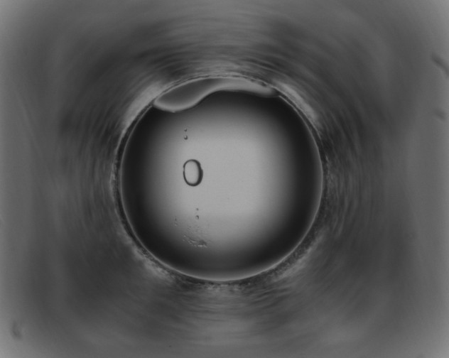 X0000093370901200710111434
