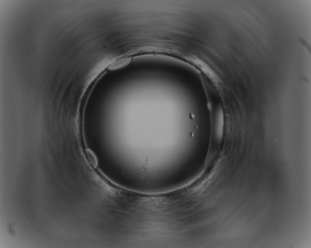 X0000093370902200710111434