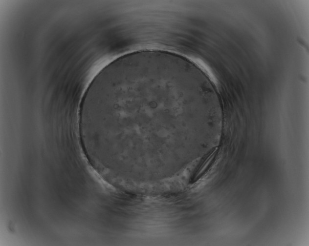 X0000093370903200710111434