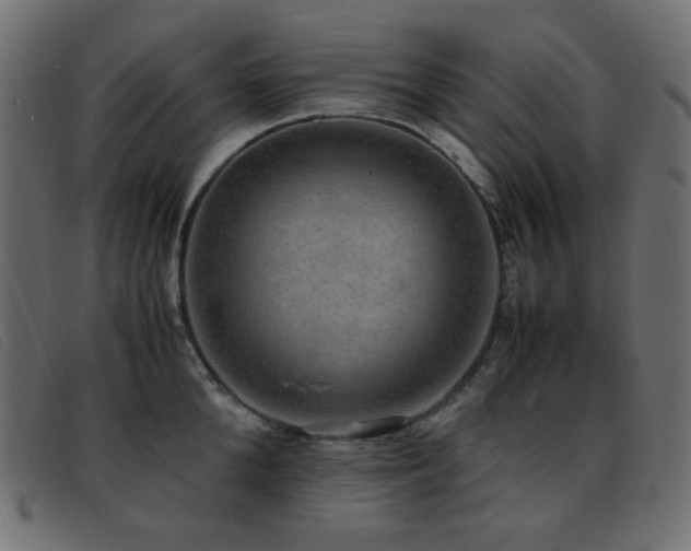 X0000093370904200710111434