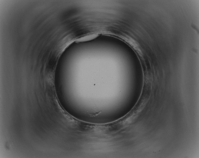 X0000093370905200710111434