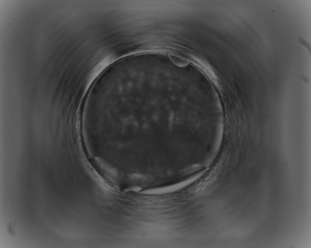X0000093370907200710111434