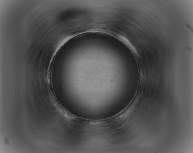 X0000093370908200710111434