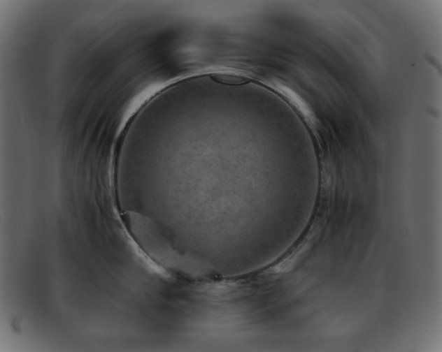 X0000093370910200710111434