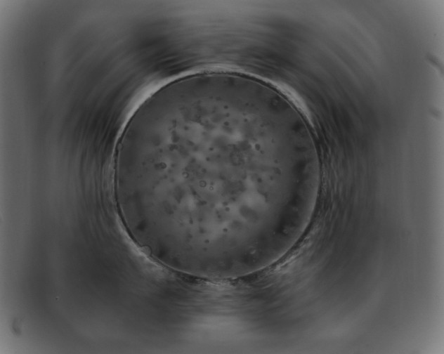 X0000093370911200710111434