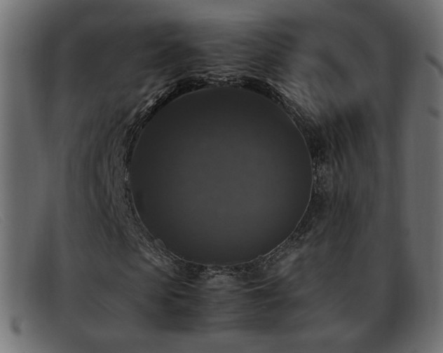 X0000093370913200710111433
