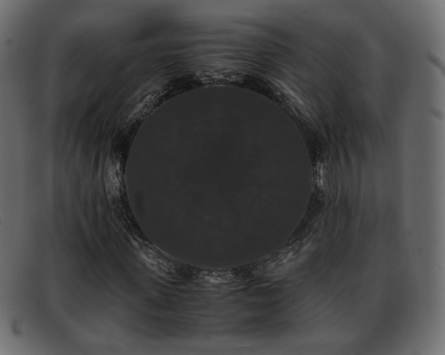 X0000093370915200710111433