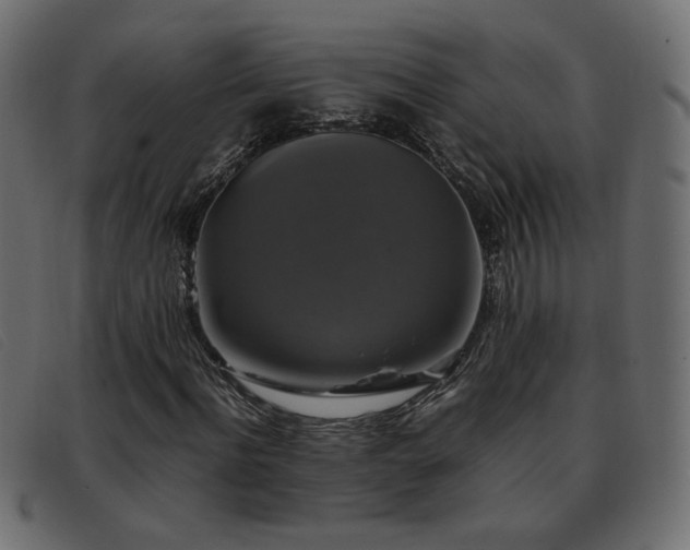 X0000093370916200710111433