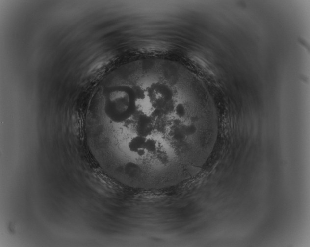 X0000093370917200710111433