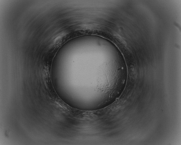 X0000093370918200710111433