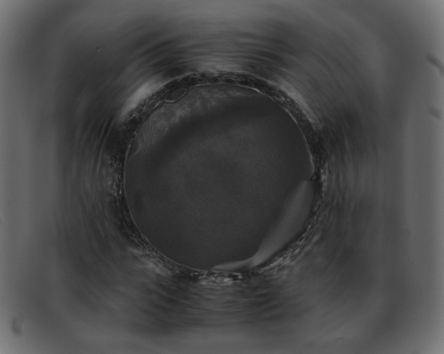 X0000093370919200710111434