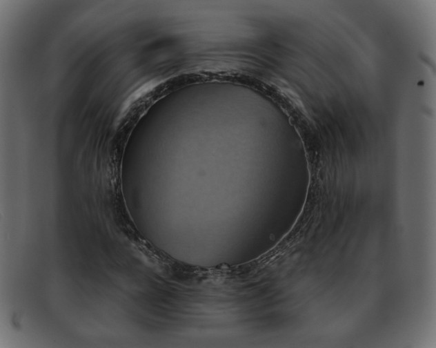 X0000093370920200710111434