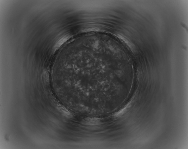 X0000093370921200710111434