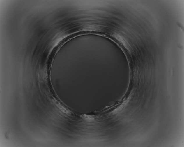 X0000093370923200710111434