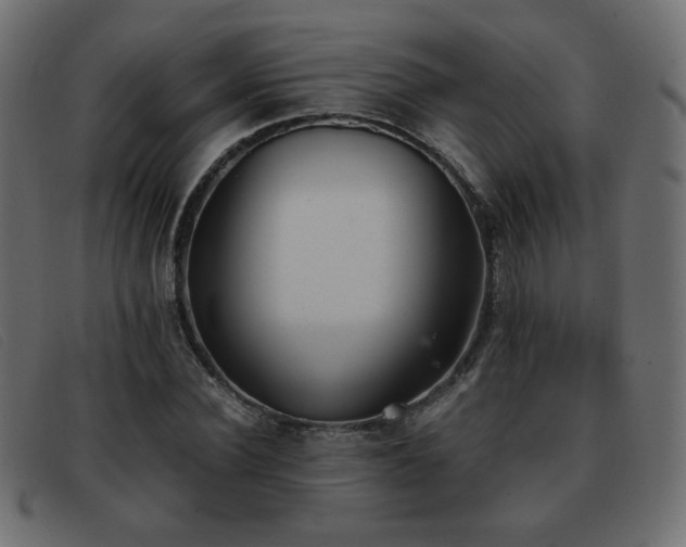 X0000093370924200710111434