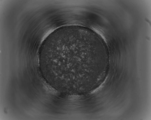 X0000093370925200710111434