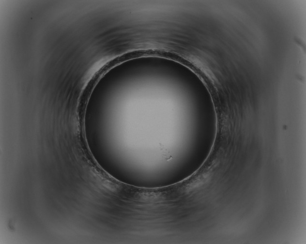 X0000093370927200710111434