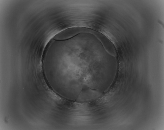 X0000093370928200710111434