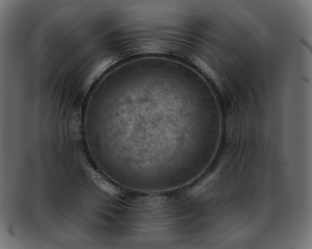 X0000093370930200710111434