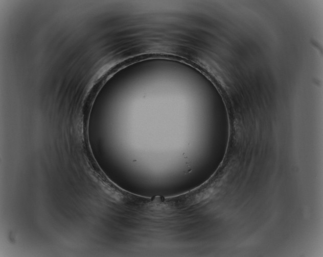 X0000093370931200710111434