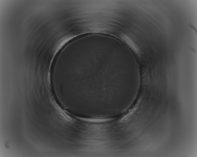 X0000093370932200710111434