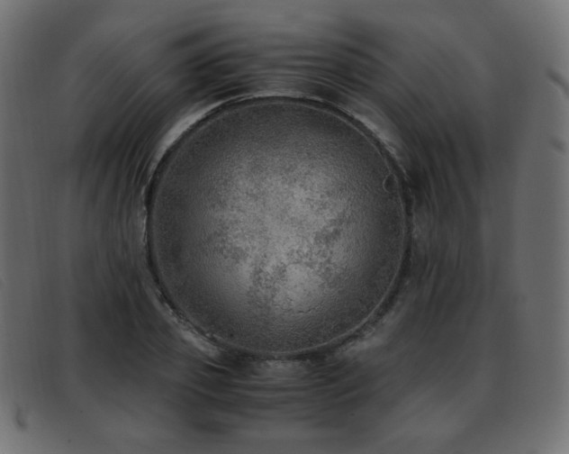 X0000093370933200710111434
