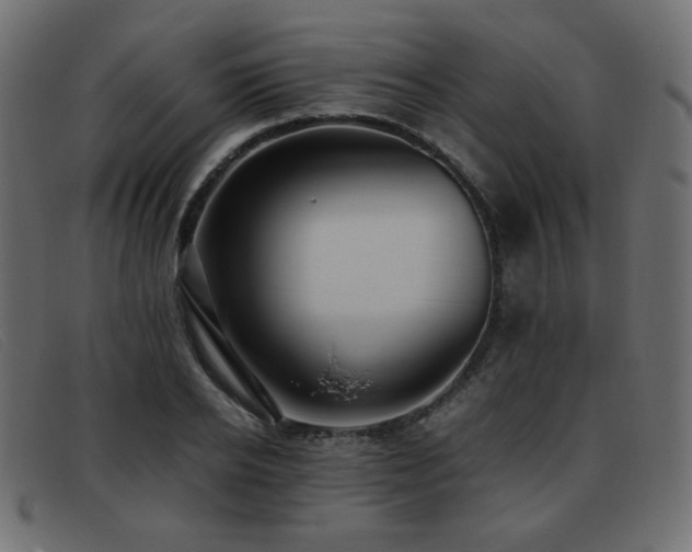 X0000093370934200710111434