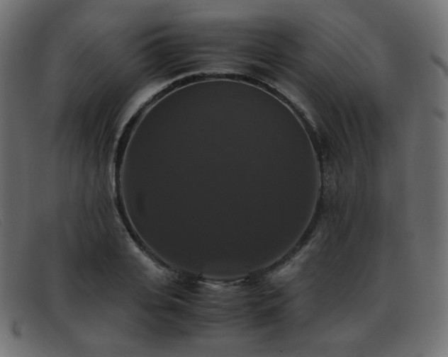 X0000093370935200710111434