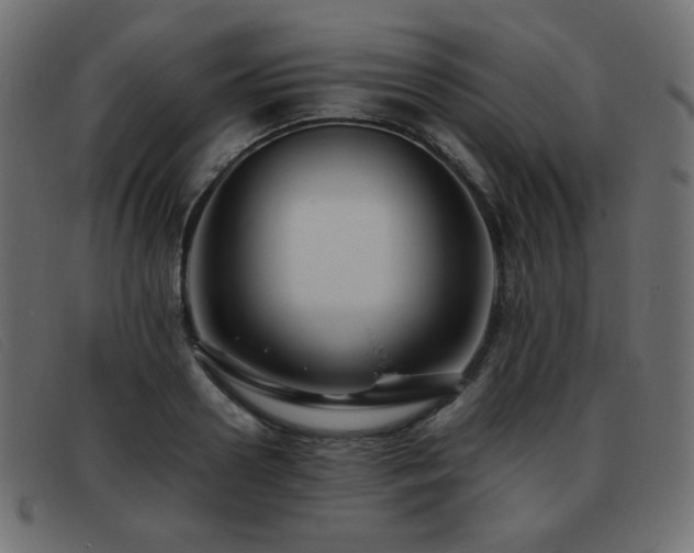 X0000093370938200710111434