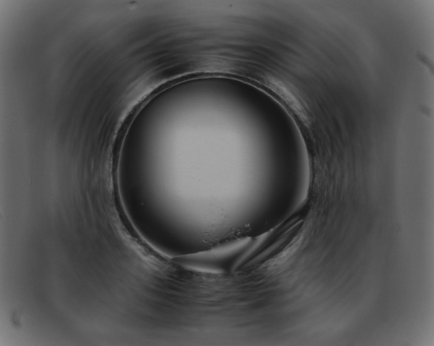 X0000093370939200710111434