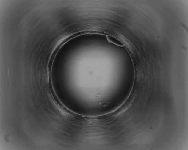 X0000093370940200710111434