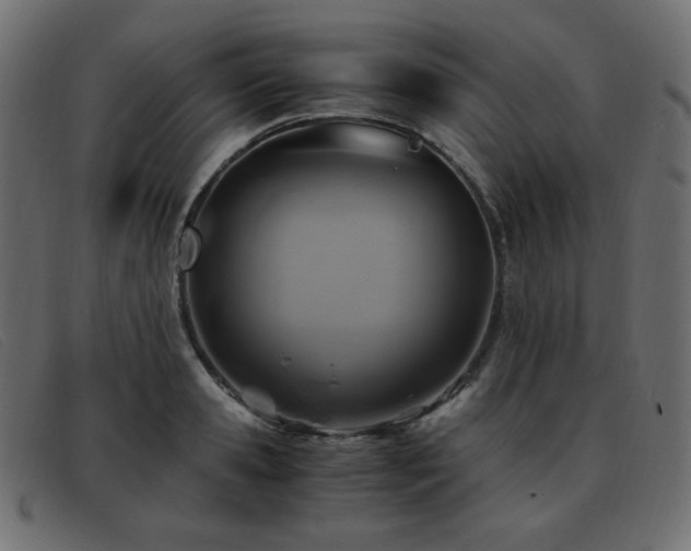 X0000093370941200710111434