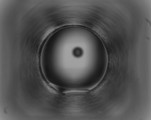 X0000093370942200710111434