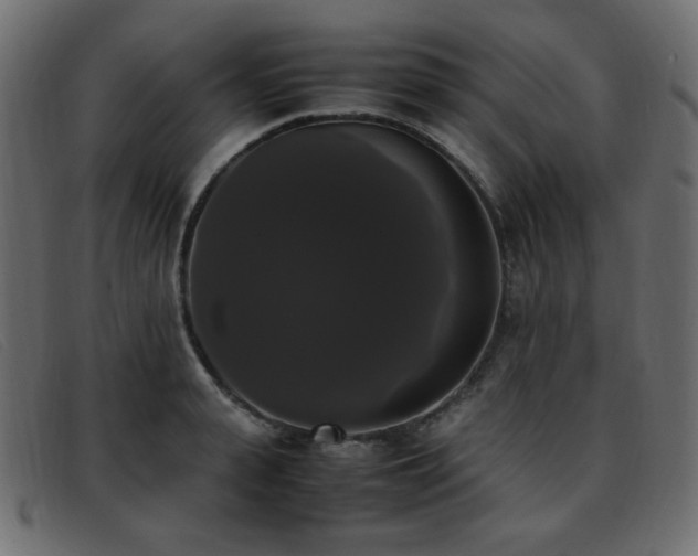 X0000093370943200710111434