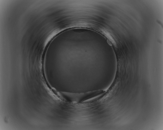 X0000093370944200710111434