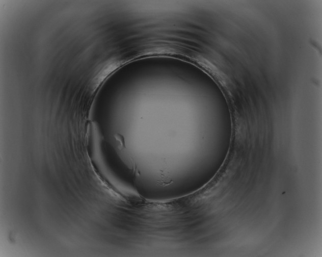 X0000093370945200710111434
