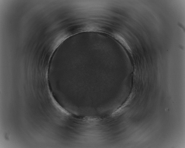 X0000093370946200710111434