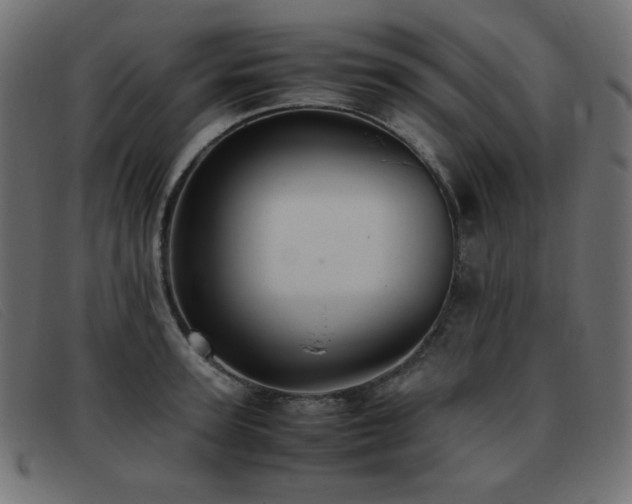 X0000093370947200710111434