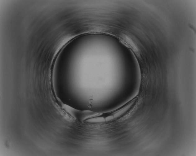 X0000093370948200710111434