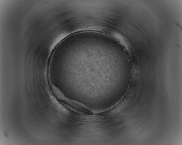 X0000093370952200710111434