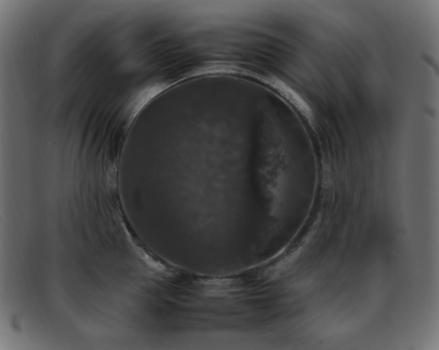 X0000093370953200710111434