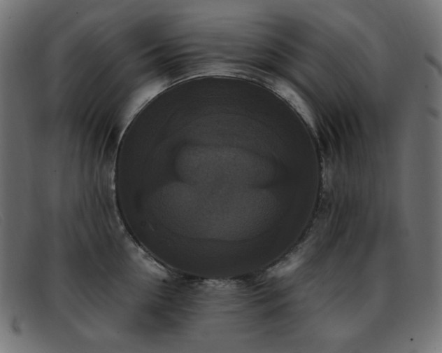 X0000093370954200710111434
