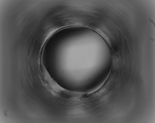 X0000093370956200710111434