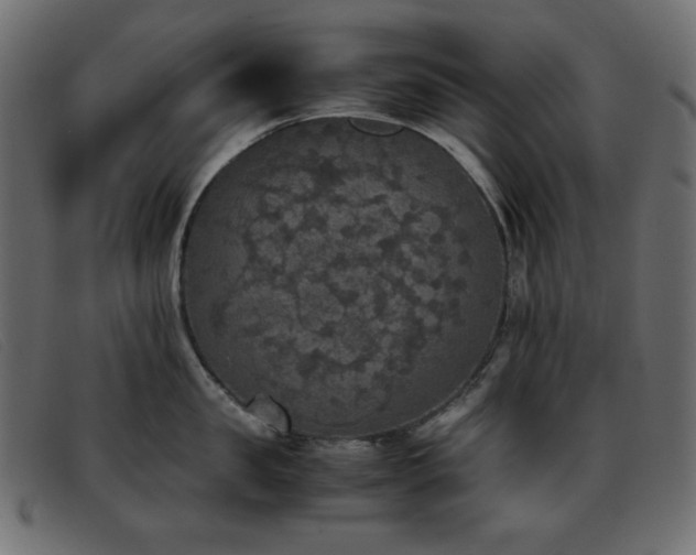 X0000093370957200710111434