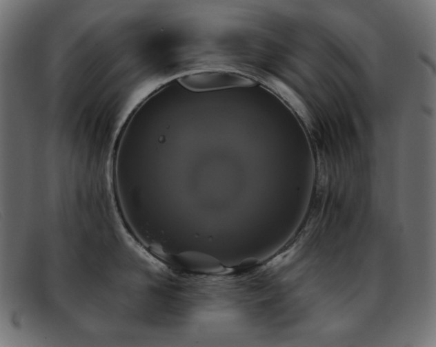 X0000093370958200710111434