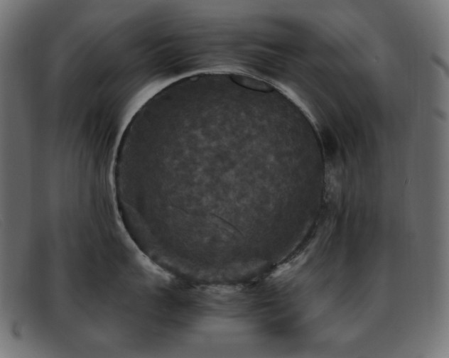 X0000093370959200710111434