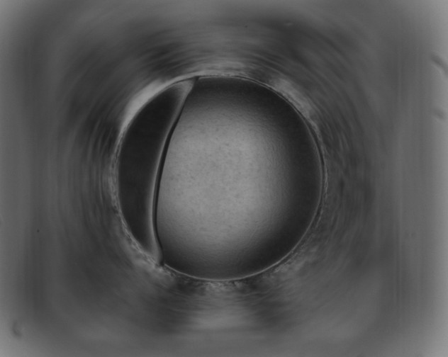 X0000093370960200710111434