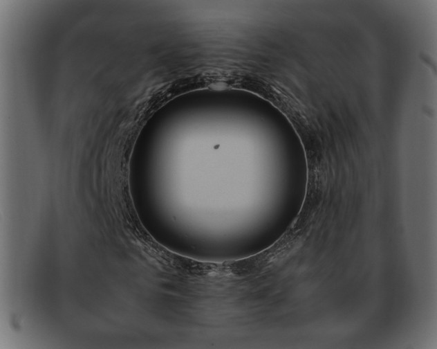 X0000093370961200710111433