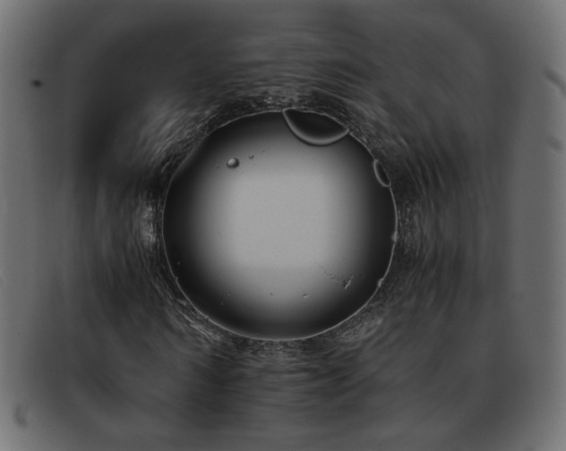 X0000093370962200710111433