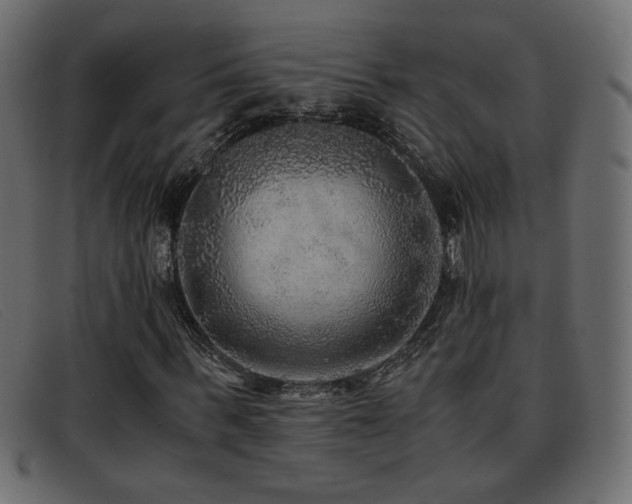 X0000093370963200710111433